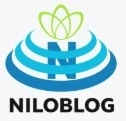 ساختار شکست کار چیست (WBS)